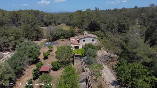 Finca rustica con gran estilo en Costitx - BALEARES