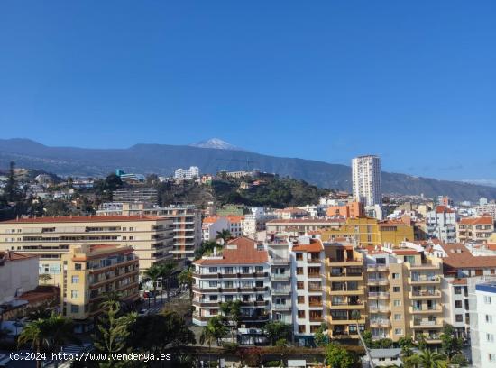 ALQUILER APARTAMENTO CENTRO PUERTO DE LA CRUZ - SANTA CRUZ DE TENERIFE