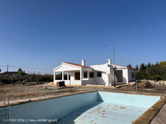 Chalet en Elche - ALICANTE