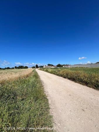 VENTA DE PARCELAS - CADIZ