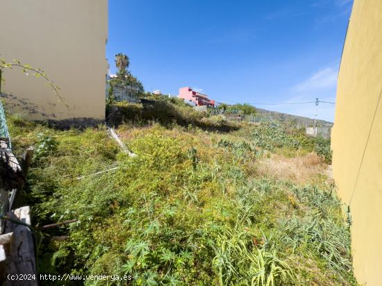 SOLAR PARA EDIFICAR CÉNTRICO EN ICOD DE LOS VINOS - SANTA CRUZ DE TENERIFE