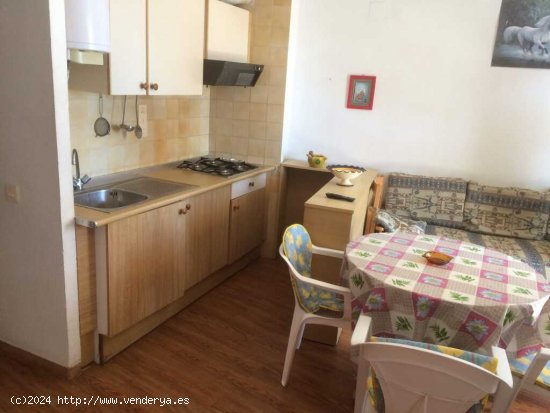 Apartamento en Alquiler vacacional en Peñiscola Castellón