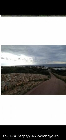 TERRENO AGRARIO EN BINIANCOLLA-SANT LLUIS, MENORCA