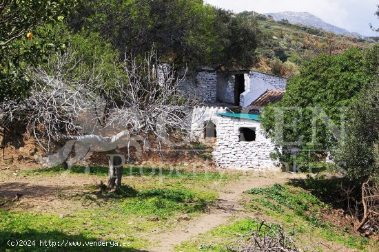  Suelo rústico en Venta en Casares Málaga 