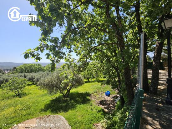 SE VENDE VILLA DE 18.000M2 CON DOS CHALETS. - AVILA