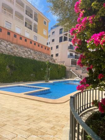 ALQUILER- 3D-2B-APARTAMENTOS-ORIHUELA COSTA-CAMPOAMOR-3D-2B- 800 M2 PLAYA - ALICANTE