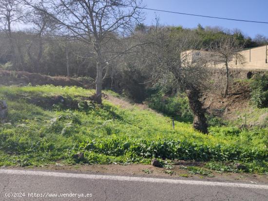 TERRENO EN LA OROTAVA, AGUAMANSA - SANTA CRUZ DE TENERIFE