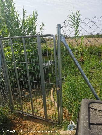 agrícola , para cultivar tus propias verduras y frutas,  gava - BARCELONA