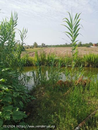 agrícola , para cultivar tus propias verduras y frutas,  gava - BARCELONA