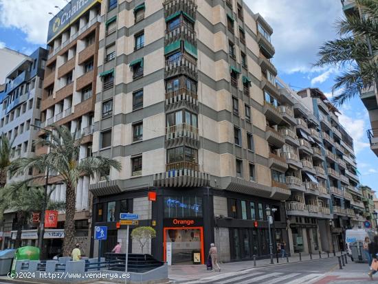 APARTAMENTO 1 DORMITORIO EN CENTRO - ALICANTE