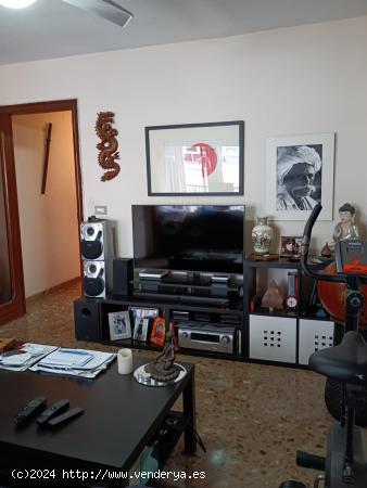 APARTAMENTO 1 DORMITORIO EN CENTRO - ALICANTE