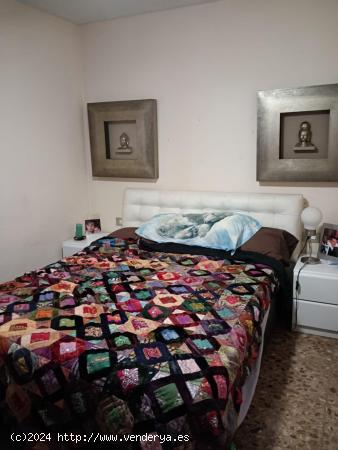 APARTAMENTO 1 DORMITORIO EN CENTRO - ALICANTE