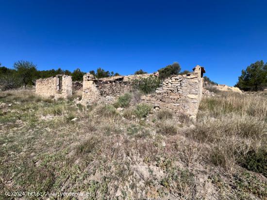  FINCA RÚSTICA CON  23.000 M2 CON CULTIVO DE OLIVOS Y ALMENDROS - VALENCIA 