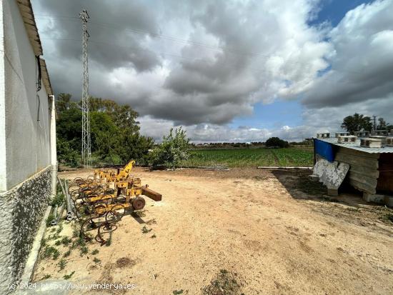 ¡¡6 HECTÁREAS DE TERRENO CON 3 CASAS, NAVES, Y TRASTEROS!! - CADIZ