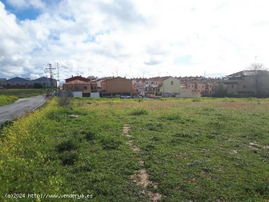 venta de terreno urbanizable en REcas - TOLEDO