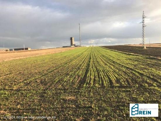  TERRENO URBANIZABLE DE 38.519 M2 EN PLG SECT S-7, CABAÑAS DE LA SAGRA, TOLEDO - TOLEDO 