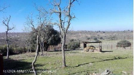 Urbis te ofrece un terreno en venta en Herguijuela de Ciudad Rodrigo, Salamanca. - SALAMANCA