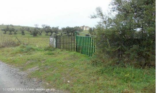 TERRENO URBANIZABLE EN PLASENCIA - CACERES