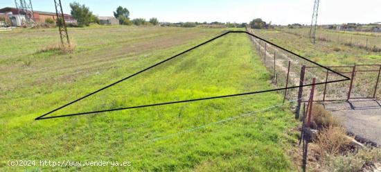 TERRENO URBANO EN MORALEJA - CACERES