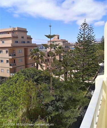 NO PARA VIVIENDA HABITUAL - CONTACTAR POR WHATSAPP AL +34 690 86 55 50 - SANTA CRUZ DE TENERIFE