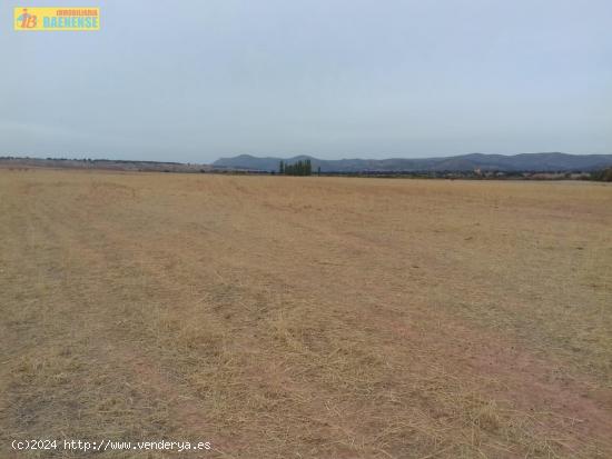 Tierra calma en buena ubicación - ALBACETE