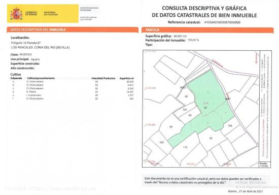 IDEAL INVERSORES: FINCA LOS PENCALES EN CORIA DEL RÍO - SEVILLA