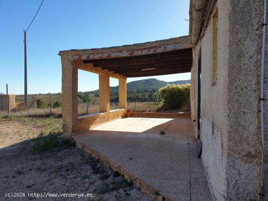 ¡¡¡¡CAMPO A 7KM DE PINOSO!!!! - MURCIA