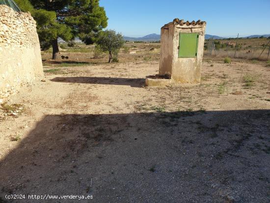 ¡¡¡¡CAMPO A 7KM DE PINOSO!!!! - MURCIA