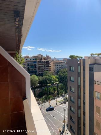 SE VENDE AMPLIO PISO EN EL PASEO MALLORCA DE PALMA - BALEARES