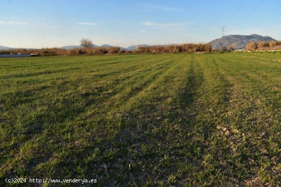 García Delgado Vende Precioso Terreno a la entrada de Santa Fé - GRANADA