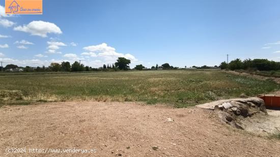 TERRENO VIÑALES (PINSEQUE) - ZARAGOZA