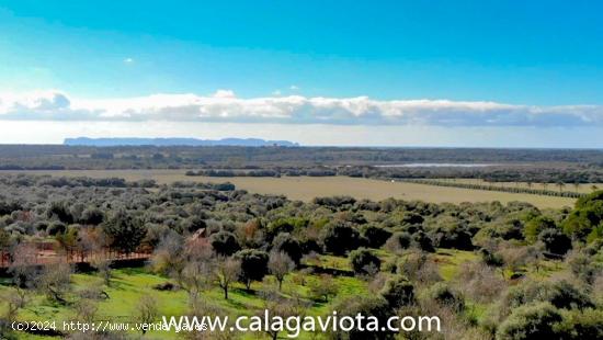 Gran terreno con proyecto y magníficas vistas - BALEARES