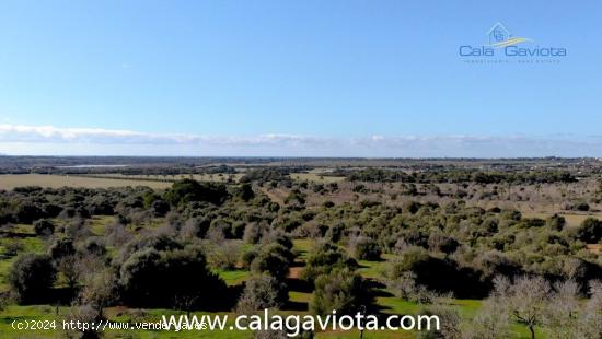 Gran terreno con proyecto y magníficas vistas - BALEARES