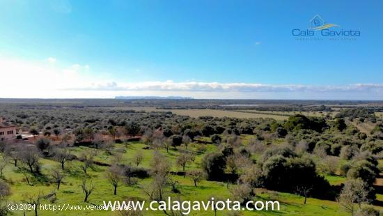 Gran terreno con proyecto y magníficas vistas - BALEARES