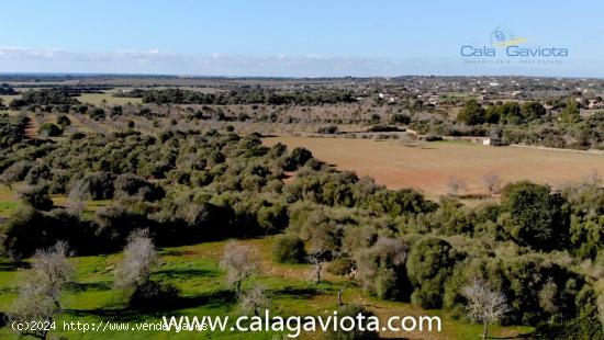 Gran terreno con proyecto y magníficas vistas - BALEARES