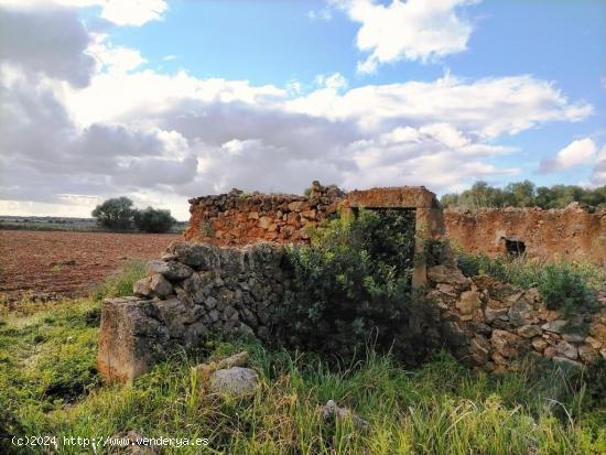 Terreno tranquilo a 5 minutos de la playa de Sa Rápita - BALEARES