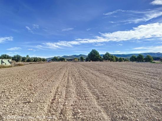  EXCLUSIVA PARCELA DE SUELO RUSTICO E INDUSTRIAL EN IBI - ALICANTE 