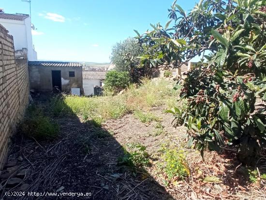 Casa de una planta con terreno - SEVILLA