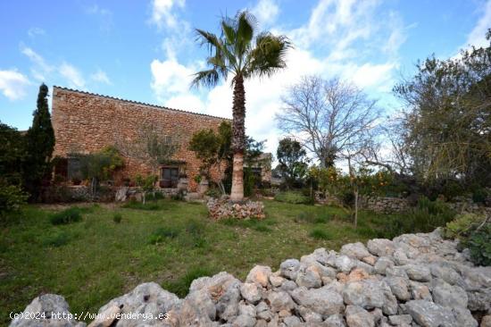 CASA RURAL DEL AÑO 1.900 JUNTO AL PUEBLO DE ALGAIDA(PINA)EN UNA PARCELA DE NADA MENOS QUE 30.000 MT