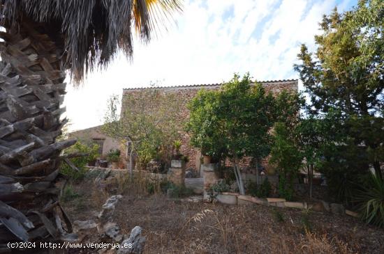 CASA RURAL DEL AÑO 1.900 JUNTO AL PUEBLO DE ALGAIDA(PINA)EN UNA PARCELA DE NADA MENOS QUE 30.000 MT