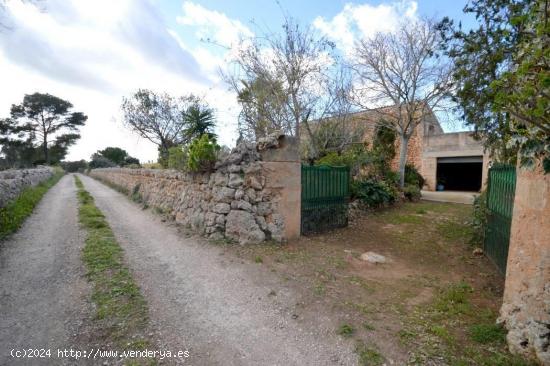 CASA RURAL DEL AÑO 1.900 JUNTO AL PUEBLO DE ALGAIDA(PINA)EN UNA PARCELA DE NADA MENOS QUE 30.000 MT