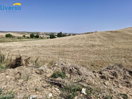 Terreno de 10.000 m² en Venta en Peñaranda de Duero - Ideal para Uso de Regadío - BURGOS