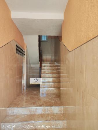 Apartamento a tan solo 150 m del Paseo Marítimo en Torrevieja .¡¡ Contáctenos ¡¡ - ALICANTE