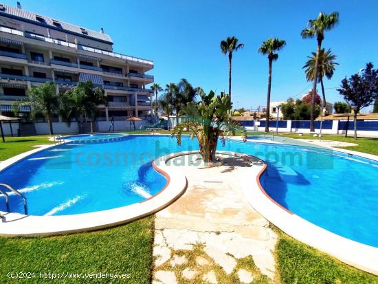 Fantástico bajo con terraza a escasos metros de la playa y del puerto deportivo de Denia - ALICANTE