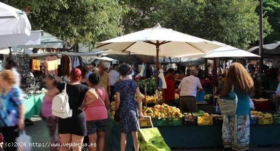 PUESTO EN EL MERCAT DE PERE GARAU. ALQUILER O VENTA - BALEARES