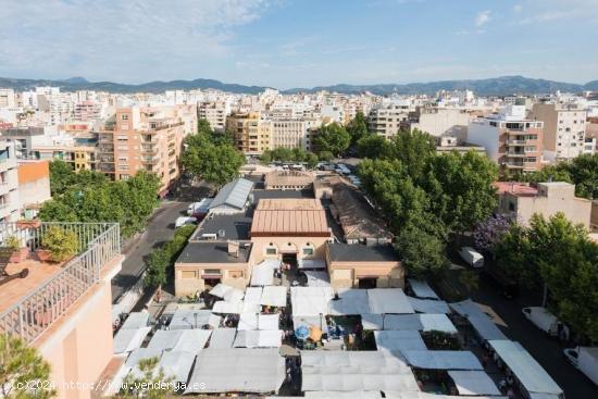 PUESTO EN EL MERCAT DE PERE GARAU. ALQUILER O VENTA - BALEARES