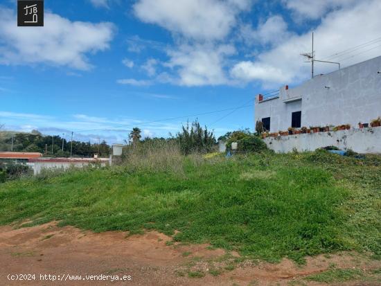 TERRENO URBANO CONSOLIDADO EN TACORONTE. - SANTA CRUZ DE TENERIFE