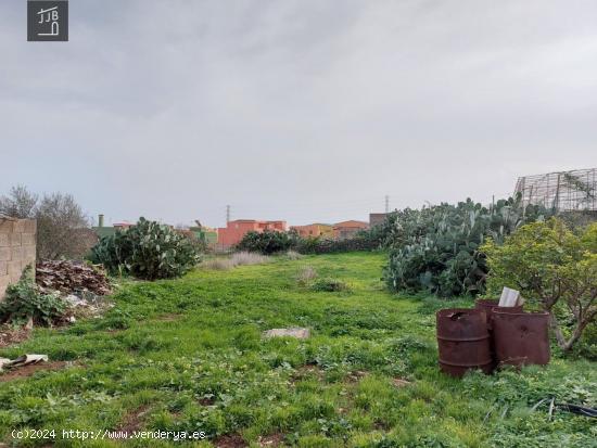 TERRENO URBANO CONSOLIDADO EN GENETO, LA LAGUNA. - SANTA CRUZ DE TENERIFE