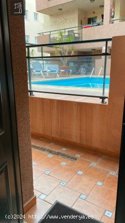 EXCELENTE PISO EN GUARGACHO, PISCINA COMUNITARIA Y PLAZA DE GARAJE INCLUIDA. - SANTA CRUZ DE TENERIF