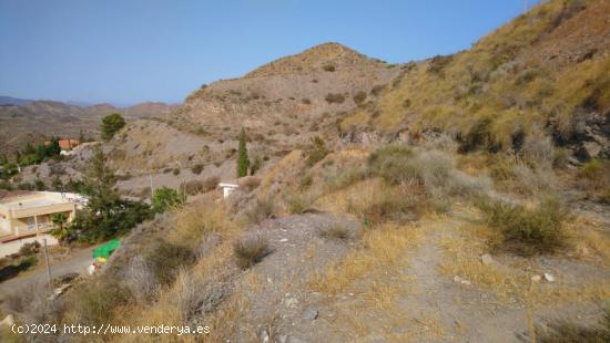 ESTUPENDO TERRENO EN TODOSOL - MURCIA